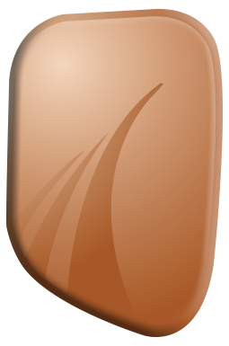 BronzeAward