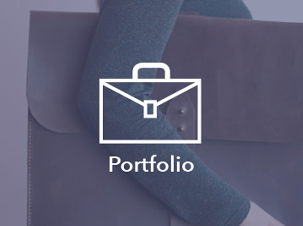 Click here for more information on the Portfolio.