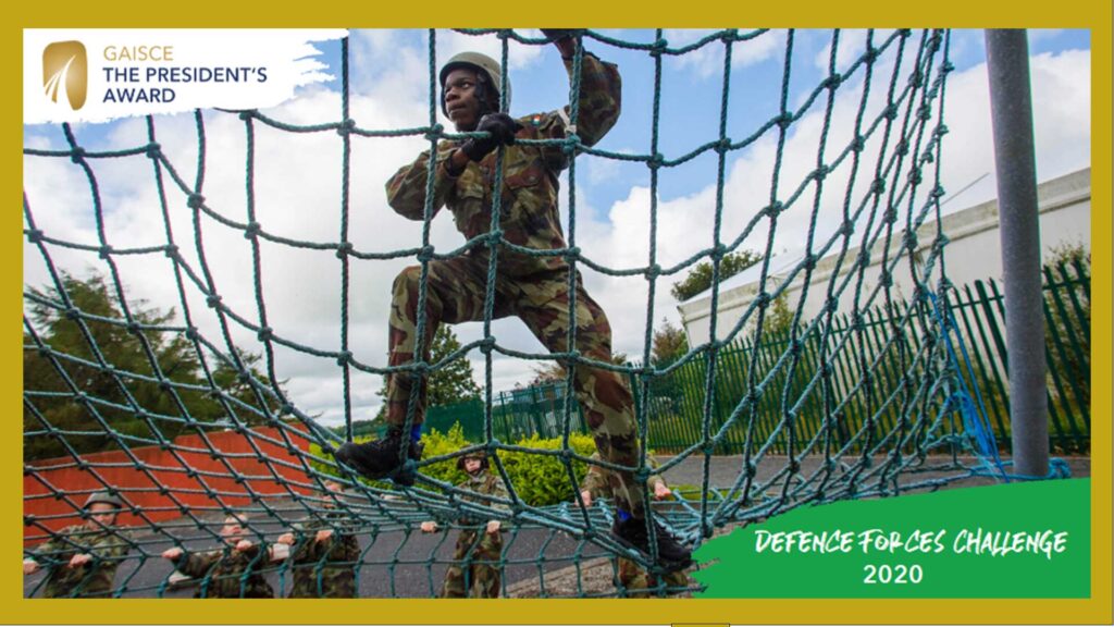 Defence Forces