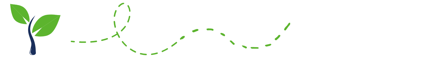 Dividing Line_Bulb on left