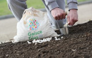 Young person planting flower bulbs